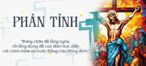 PHẢN TỈNH