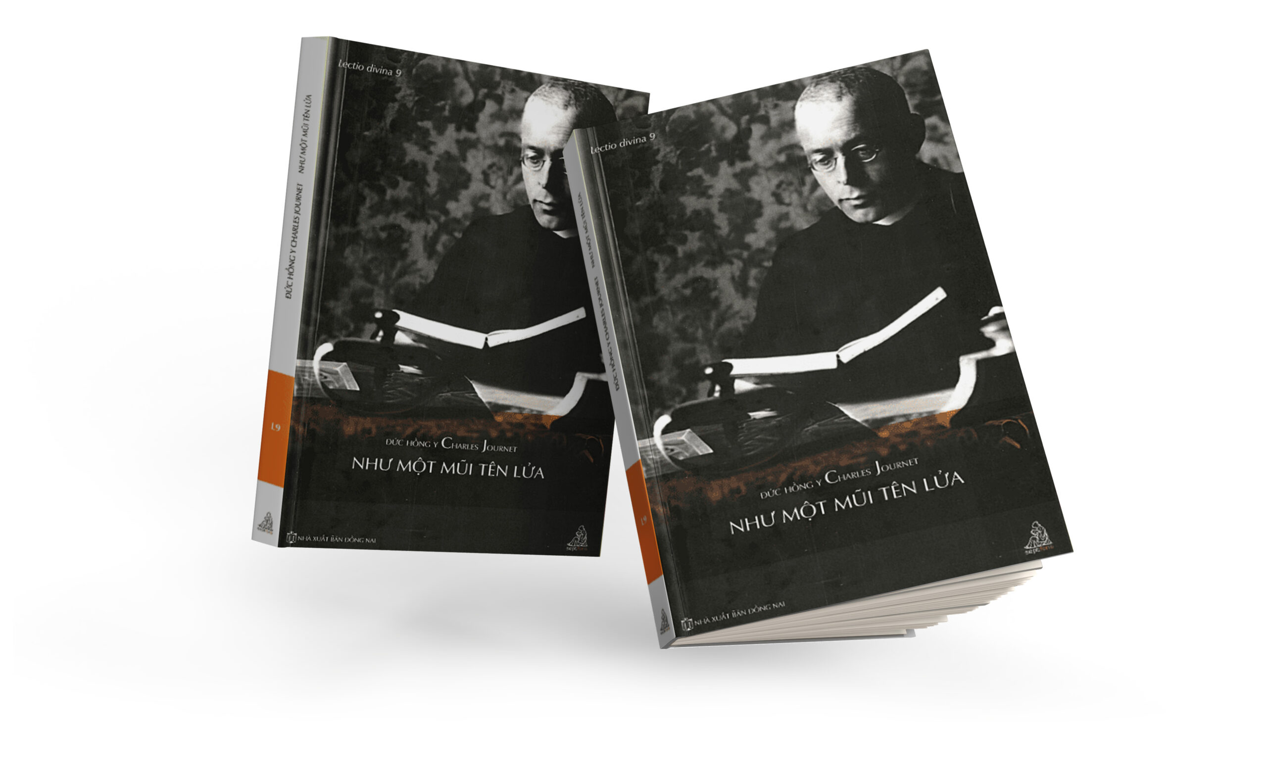 NHƯ MỘT MŨI TÊN LỬA