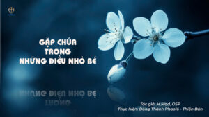 GẶP CHÚA TRONG NHỮNG ĐIỀU NHỎ BÉ