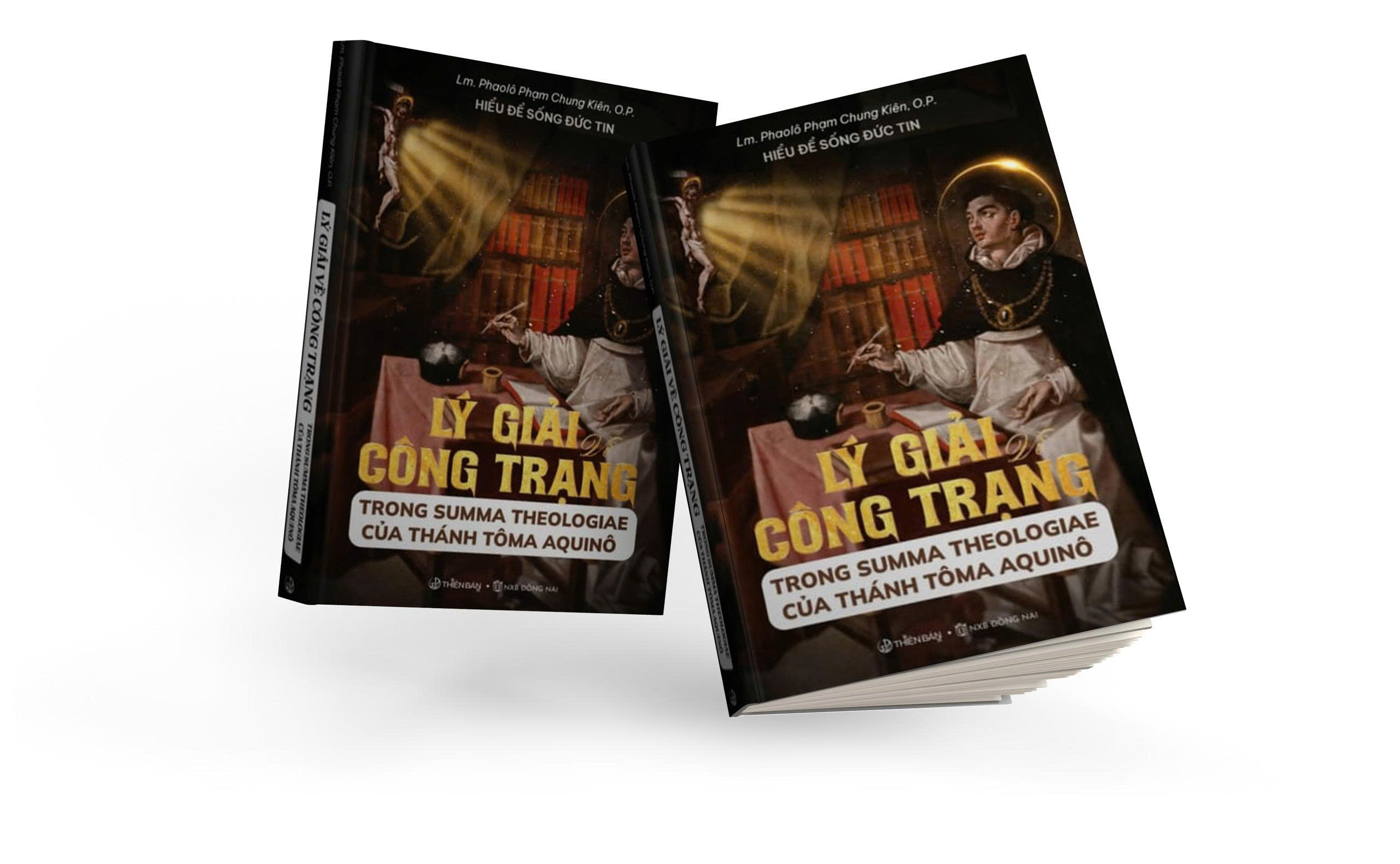 LÝ GIẢI VỀ CÔNG TRẠNG TRONG SUMA THEOLOGIAE CỦA THÁNH TÔMA AQUINÔ