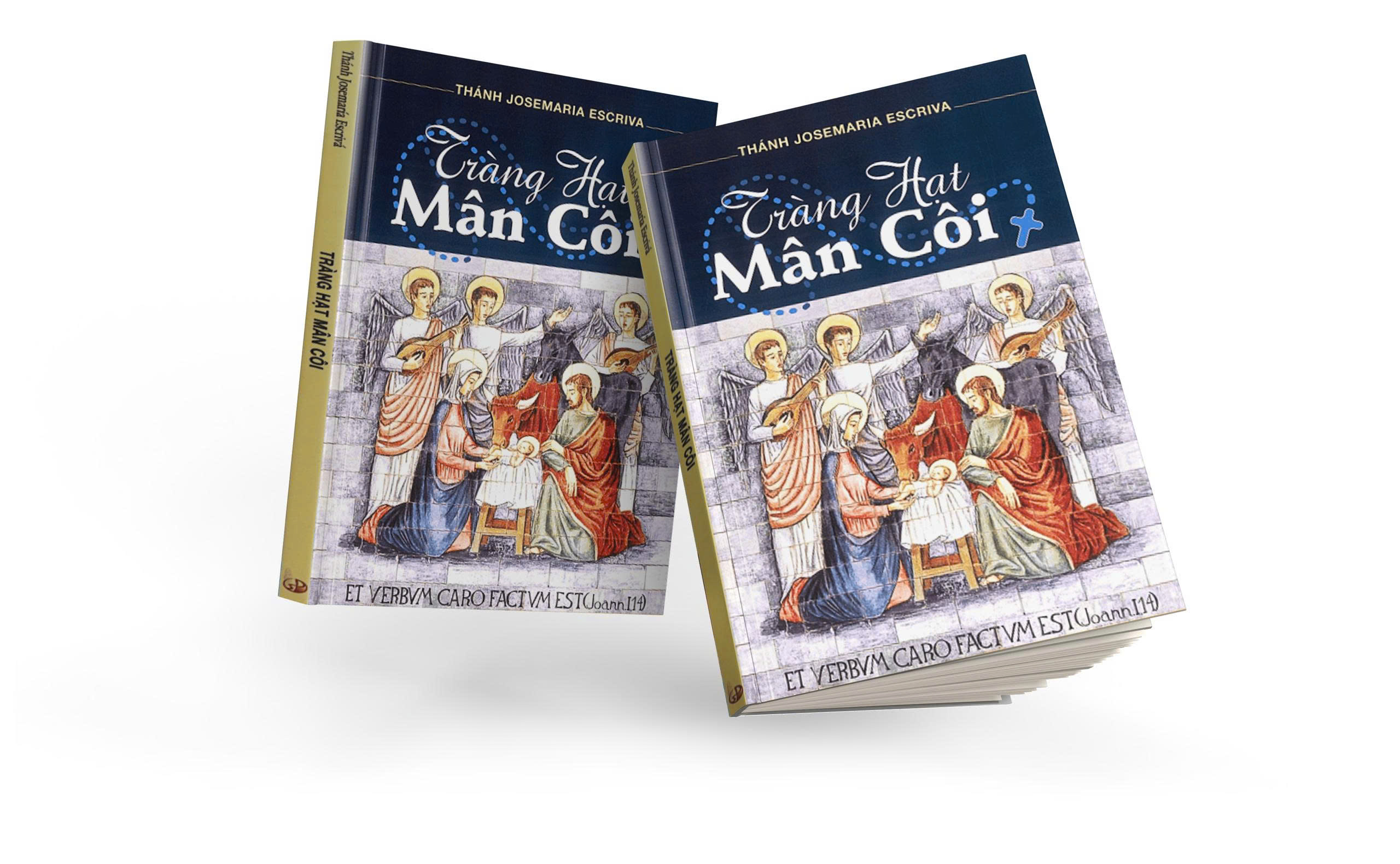 TRÀNG HẠT MÂN CÔI